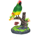 🦜 Perroquet Oscillant Akunado – Le Jouet Qui Fait Rire Toute la Maison !