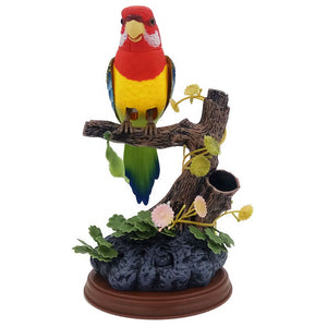 🦜 Perroquet Oscillant Akunado – Le Jouet Qui Fait Rire Toute la Maison !