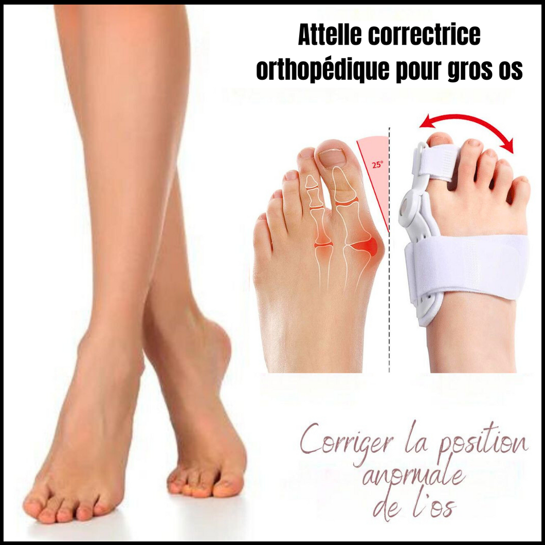 Correcteur d'oignon Malovax